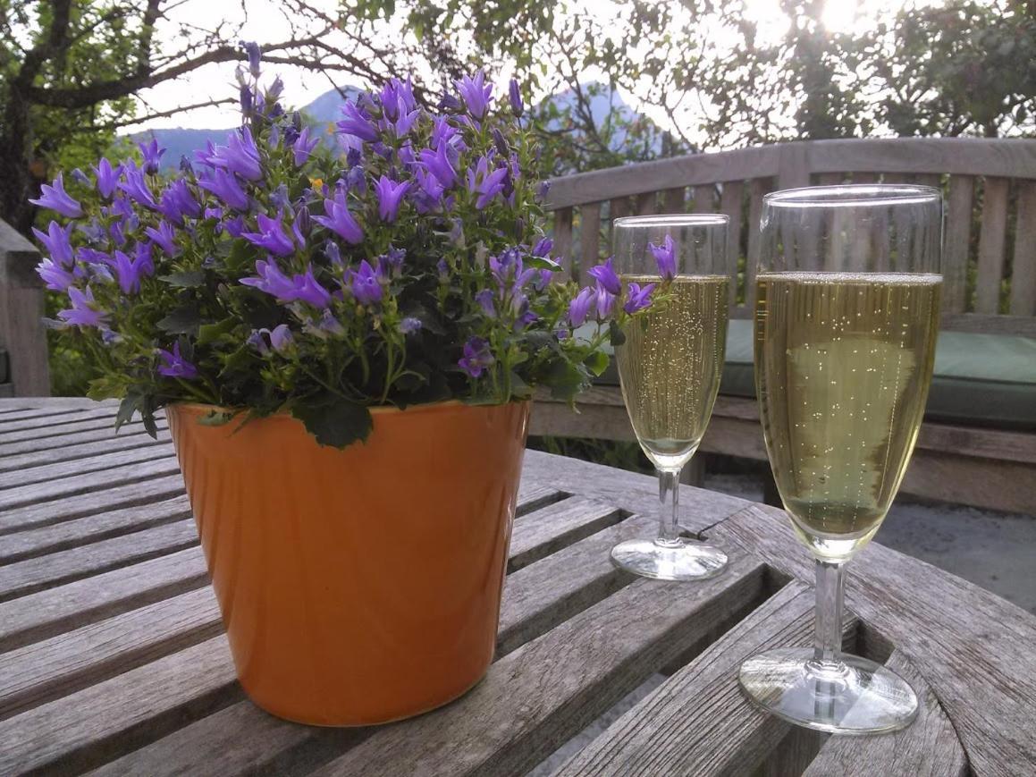 Bnb Castellane Chambre D'Hotes B&B Zewnętrze zdjęcie